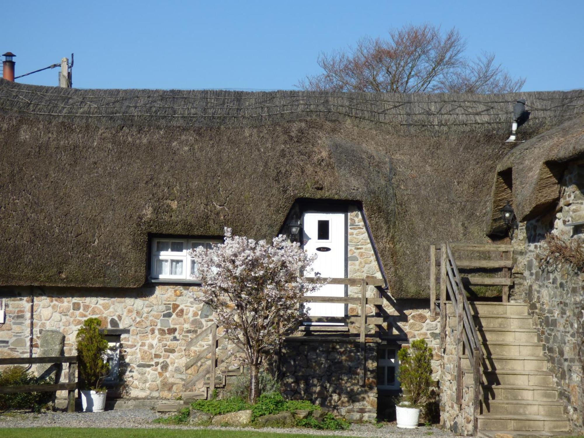 Bearslake Inn Bridestowe Εξωτερικό φωτογραφία